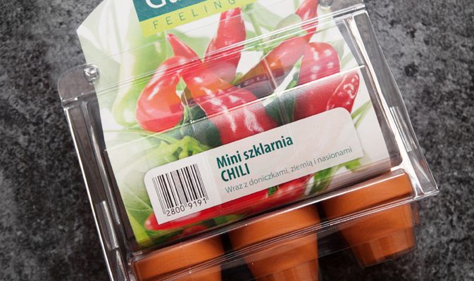 Krasnoludzki ogrodnik – chili